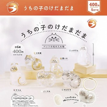 💥免運臺灣有貨💥日本BL 透明貓毛收納盒吊飾扭蛋 貓咪毛整體衣櫃 貓毛收納裝飾 貓咪紀念吊飾 寵物毛髮紀念扭蛋 貓毛收納