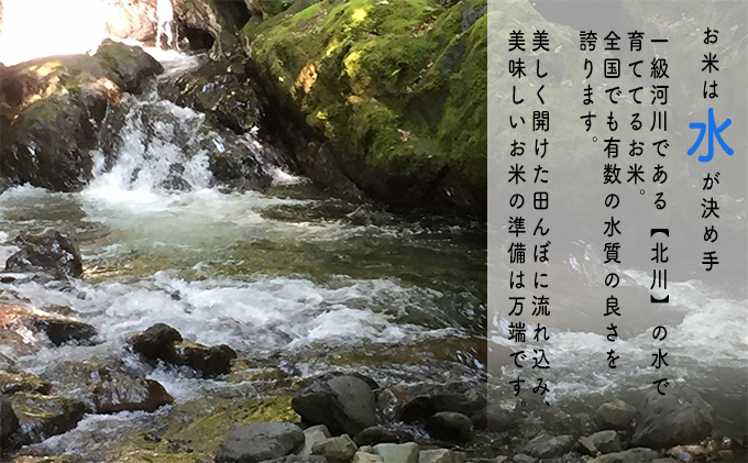 令和5年産福井県若狭町コシヒカリ（一等米）5kg（山心ファーム）