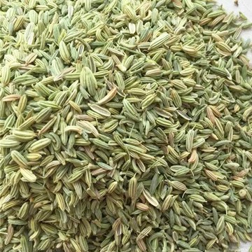 【小茴香►共1組(600g/組)】香氣四溢▪滷包燉肉▪茴香籽▪甜茴香▪茴香子