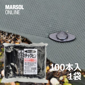 防草シート押え　硬質プラスチックピン　100本入