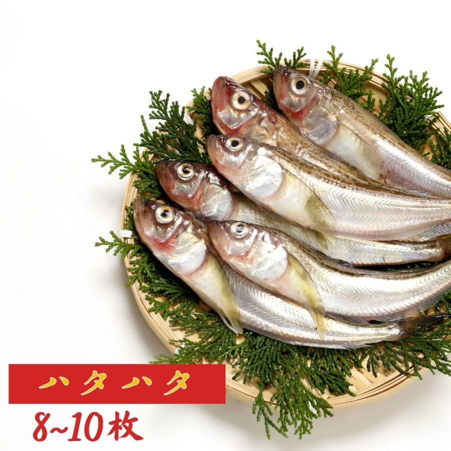 商品管理 京丹後の地元魚屋が作ったお任せ干物セット 3種 詰め合わせ