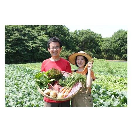 ふるさと納税 農薬不使用季節の野菜セット（10品） 千葉県成田市