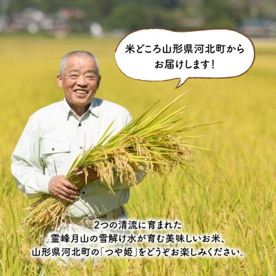 ふるさと納税 河北町 2024年4月下旬発送 特別栽培米 つや姫10kg 山形県産 