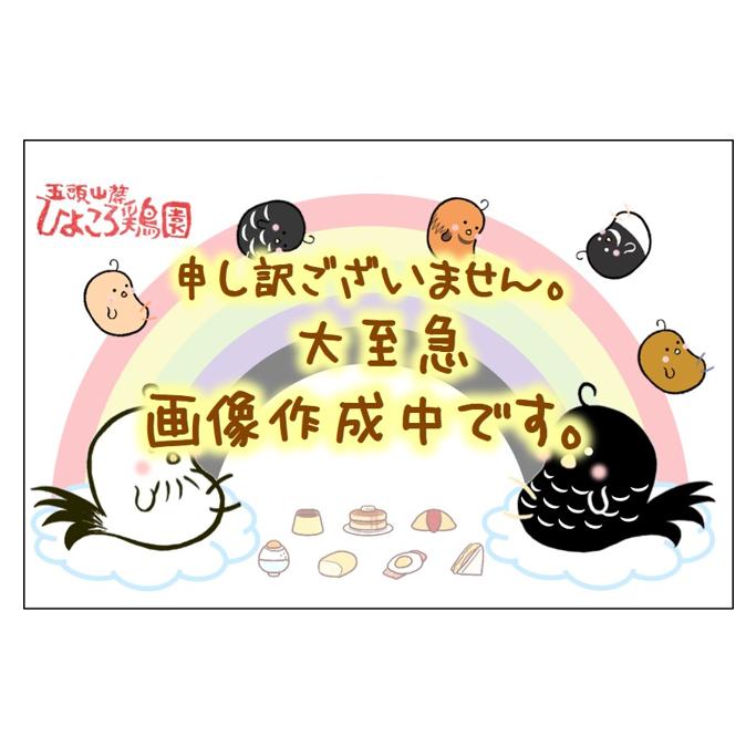 2種の焼売と餃子の3種セット※2023年春新商品