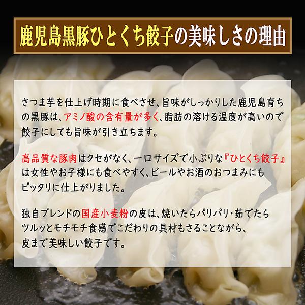 ひとくち餃子 45個 鹿児島黒豚 15個入り×3パック 小分け ぎょうざ 国産 黒豚 冷凍ぎょうざ 焼くだけ 簡単 惣菜 食品 グルメ 冷凍 送料無料