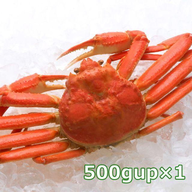 ずわい蟹姿1杯  (ずわいかに ズワイガニ 500gx1 0.5kg お取り寄せ ズワイ蟹 グルメ 食品 お買い得ずわい蟹 年末蟹　お取り寄せセット お歳暮 お中元 お正月食材)