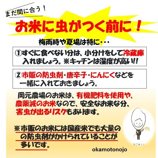 ゆめみづほ　お米　一等米　30kg　玄米精白米選べる　石川県　早稲品種　生産農家　農家直送米　送料込み