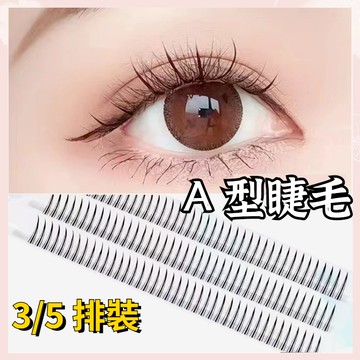 🍃 A型睫毛 嫁接睫毛  W朵毛  種植毛 仙女毛 仙子毛 魚尾下睫毛  单簇 美睫