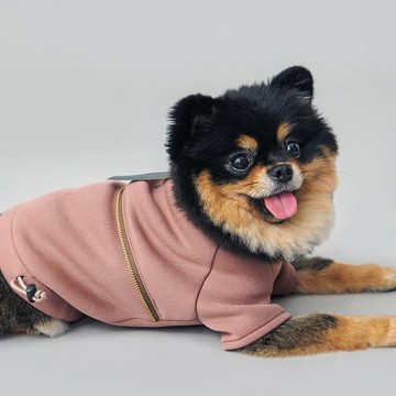 seed / indra 衛衣 千禧粉紅