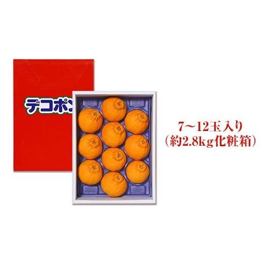 ふるさと納税 香川県 坂出市 ハウスデコポン 約2.8kg 化粧箱入り