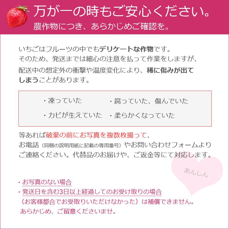 あまおう 8パック いちご 苺 DX デラックス お歳暮 ギフト 贈り物 贈答 自宅用 果物 冬 フルーツ