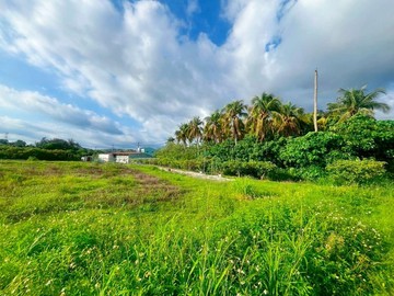 台南玉井市區臨路面寬1.25分低總價非都農地｜台南市玉井區三埔段