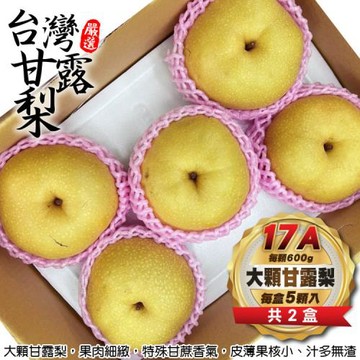 果物樂園-東勢17A大顆甘露梨禮盒2盒(5顆_每顆600g/盒)