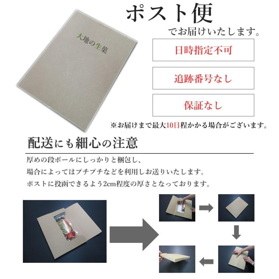 博多ラーメン 5食入 メール便 送料無料 国産 福岡県産ラー麦 本格半生麺 濃厚とんこつスープ 豚骨ラーメン 長浜屋台らーめん ポスト投函