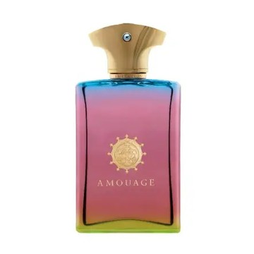 AMOUAGE 霓采 男香 100ml