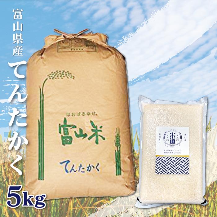 米 5kg 送料無料 白米 無洗米 てんたかく 令和五年産 無洗米 富山県産 5キロ お米 玄米 ごはん 慣行栽培米 一等米 単一原料米 分付き米対応可 保存食 米 真