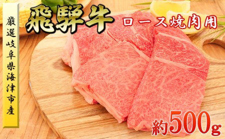 海津市産ロース焼肉オリジナルカット 