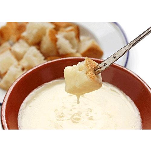 CheeseBon デンマーク産 ブルーチーズ パウダー 業務用 プロセスチーズ (1kg)