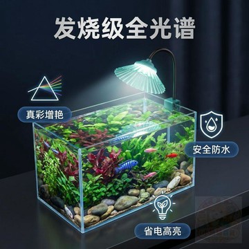 👍雙倍優惠👍魚缸LED水草  燈  全光譜小夾  燈  增豔觀賞造景小型光  燈  補光照明  燈