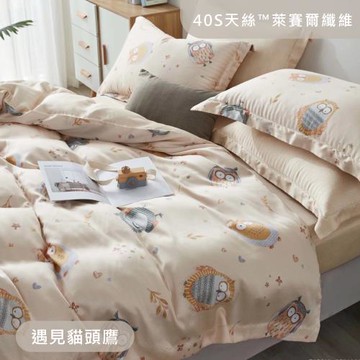 R.Q.POLO 100%天絲萊賽爾 四件式兩用被床包組 遇見貓頭鷹(雙人)
