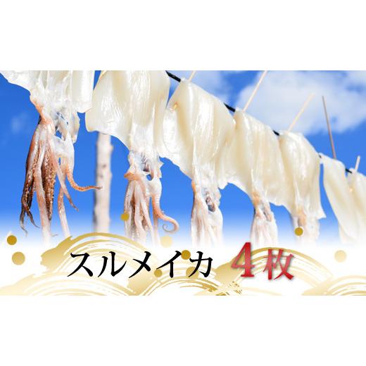 ふるさと納税 高知県 大月町 スルメイカの一日干し 4枚