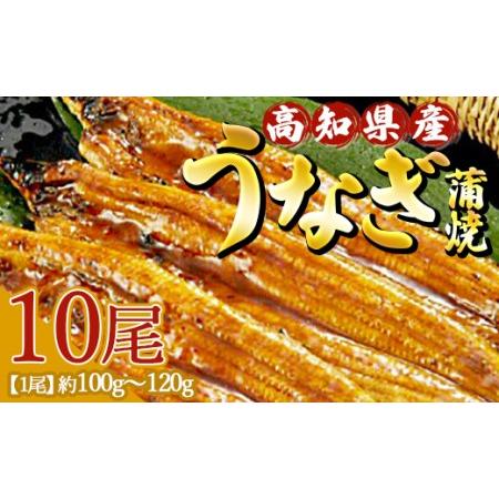 ふるさと納税 高知県産養殖うなぎ蒲焼 10尾(合計1000g以上) ss-0041 高知県香南市