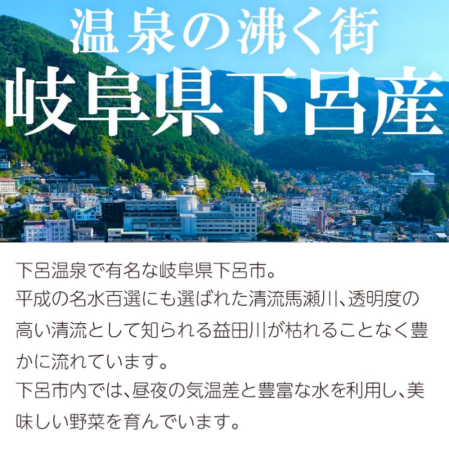 飛騨産 ピリッと！椎茸のうま煮 しいたけ シイタケ 煮物 甘辛 ご飯の友 ご飯のお供 (ポスト投函-4)