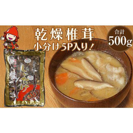 ふるさと納税 乾燥椎茸 訳あり 椎茸100g×5パック 干し椎茸 しいたけ 乾燥しいたけ 原木 大分県産 九州産 中津市 国産 大分県中津市