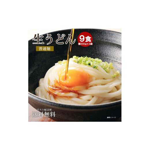 ふるさと納税 香川県 坂出市 生うどん 麺のみ 9食（300g×3袋）普通麺｜うどん 生麺