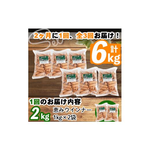 ふるさと納税 鹿児島県 志布志市 2ヶ月に1回お届け！訳あり・業務用！恵みウインナー計6kg t003-018