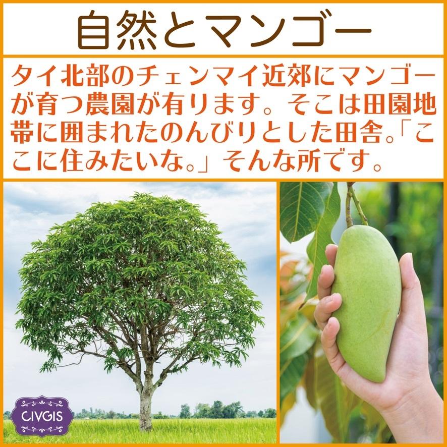 ドライフルーツ『ドライマンゴー』バリューパック1kg『甘過ぎないソフトな仕上がり』『大きなスライスカット』タイ産