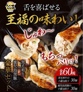 黒毛和牛の肉大盛餃子（27g30個） 鹿児島黒豚の肉盛餃子（27g30個）送料無料(離島別) 餃子 ぎょうざ ギョウザ お返し ギフト 冷凍 おつま