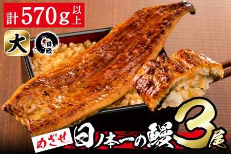 日ノ本一の鰻の蒲焼き＜大＞3尾セット(計570g以上) b8-022