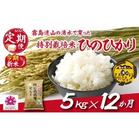 ふるさと納税 霧島連山の湧水ヒノヒカリ特別栽培米（定期便 国産 米 精米済み 送料無料） 宮崎県小林市