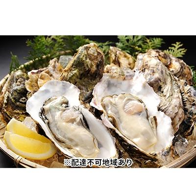 ふるさと納税 瀬戸内市 秀栄水産 瀬戸内の 牡蠣 (殻つき 大粒15粒)[No.5735-0220]