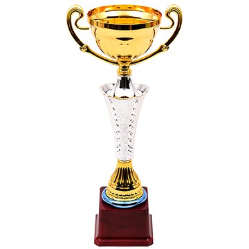 舉行一個派對 優勝獎盃  單品  35厘米