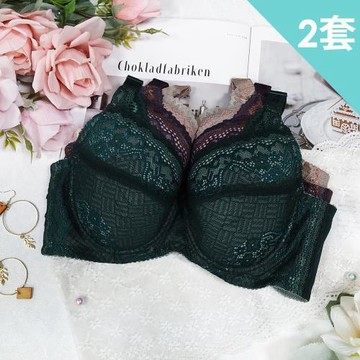 【蘇菲娜】台灣製極致挺維納粉典涼感高脅邊大罩杯機能內衣2套組(B816)