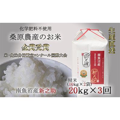 ふるさと納税 南魚沼市 桑原農産のお米　新之助10kg袋×2 全3回