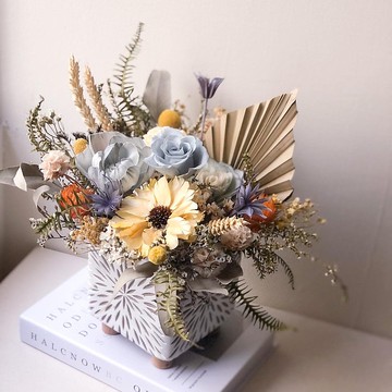 和風永生玫瑰盆花 I 藍黃色系 I 開幕花禮 喬遷賀禮 空間佈置