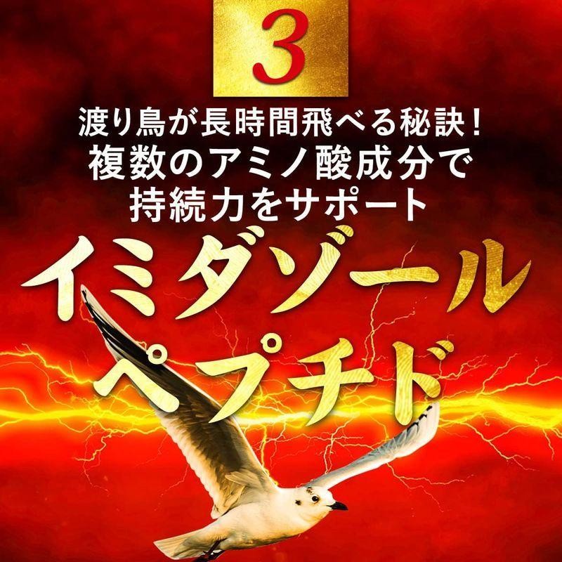 闘王 ファイターキング 60粒 サプリ サプリメント マカ アルギニン