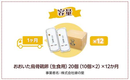 大分うこっけい卵　生食用20個（10個×2）×12回