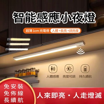 新竹現貨 人體感應燈 4種模式 USB充電 LED感應燈 人體感應夜燈 浴室燈 防摔燈 衣櫃燈 樓梯燈 應急 走廊燈