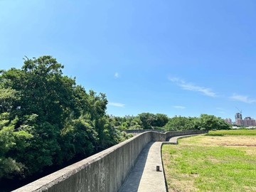 ⭐皮寮段都內農⭐｜桃園市桃園區皮寮段