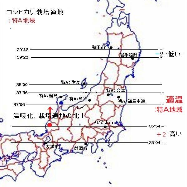 コシヒカリ 令和５年新米 玄米：残留農薬ゼロ(検査証明書付)  30k エコ栽培 能登里山の米