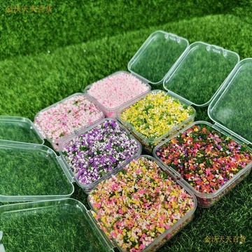 【天天】尼泊爾材料 碎花diy材料 苦情樹diy材料 戰損高達花海diy雜誌手賬