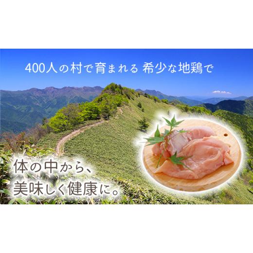 ふるさと納税 高知県 大川村 大川村土佐はちきん地鶏むね肉 1kg