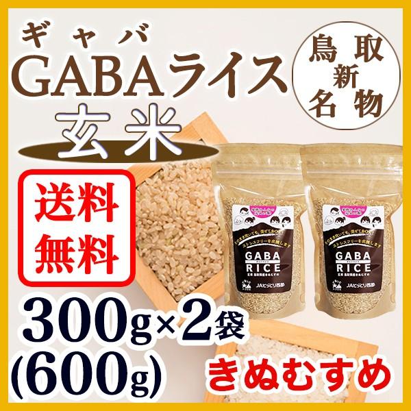 GABA RICE 玄米 きぬむすめ 300g 2袋