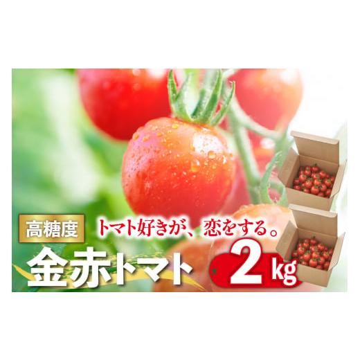 ふるさと納税 愛知県 常滑市 トマト好きが、恋をする。　1kg×2　金赤トマトミニ