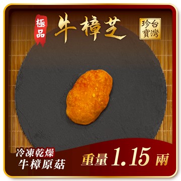 寶芝靈極品嚴選｜牛樟椴木子實體（冷凍乾燥牛樟菇20000以上品級）約1.15兩