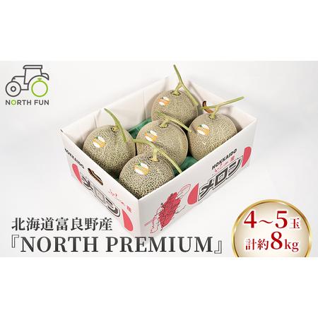 ふるさと納税 富良野メロン『NORTH PREMIUM』 4〜5玉 計約8kg 北海道 ふらの (NORTH FUN) 北海道富良野市